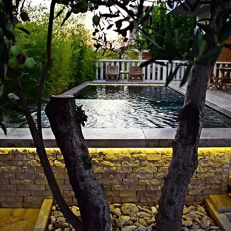 Holiday Vukovic * אוקרוג גורניי